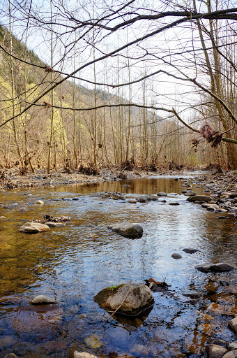 Resort «Smoke Hole Caverns», reviews and photos, 8290 N Fork Hwy, Cabins, WV 26855, USA