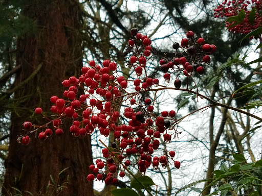 Park «Laurelhurst Park», reviews and photos, SE Cesar E Chavez Blvd & Stark St, Portland, OR 97214, USA