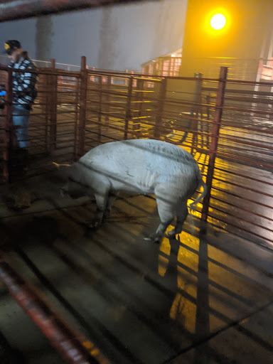 Meat Wholesaler «Lizze Custom Processing», reviews and photos, 7310 Pine Ave, Chino, CA 91708, USA