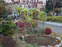 二の宮公園 テニスコート