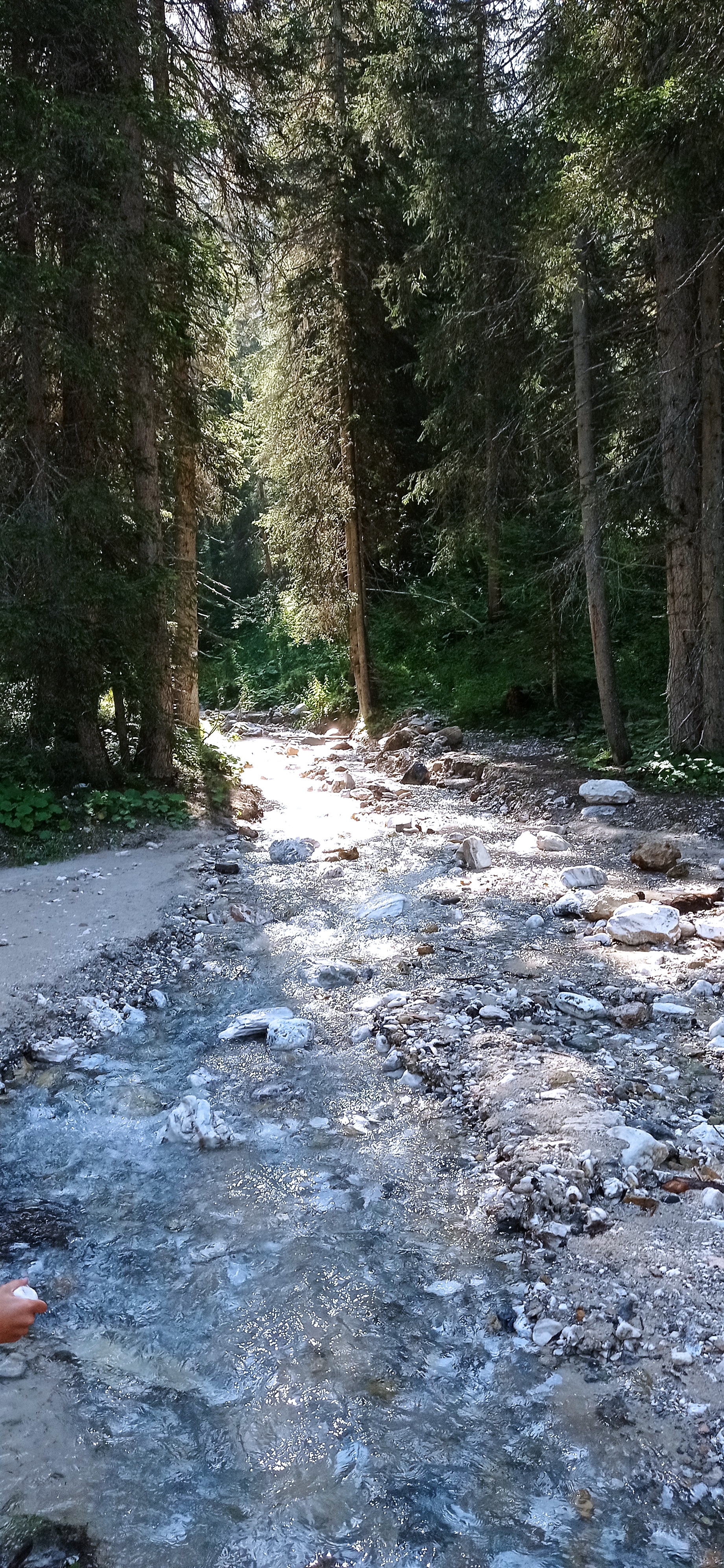 Photo n° 2 de l'avis de Debora.e fait le 16/08/2021 à 12:15