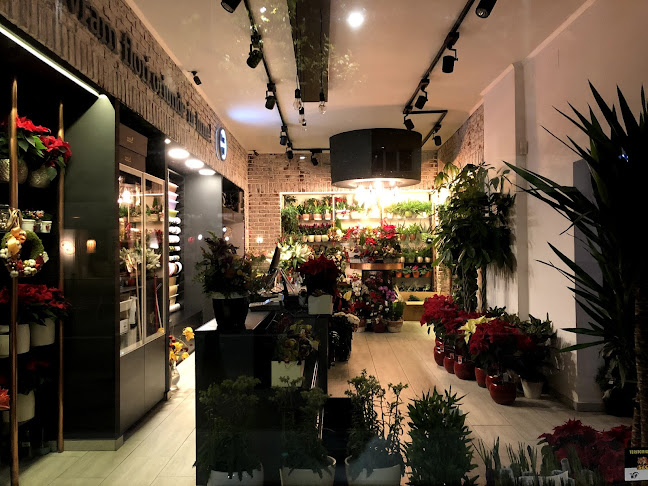 Opinii despre Magnolia în București - Florărie