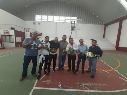 Escuela de boxeo POCHOLITO,S - Calle laurel, MZ1722, LT8, Avandaro, 56618 Valle de Chalco Solidaridad, Méx., Mexico