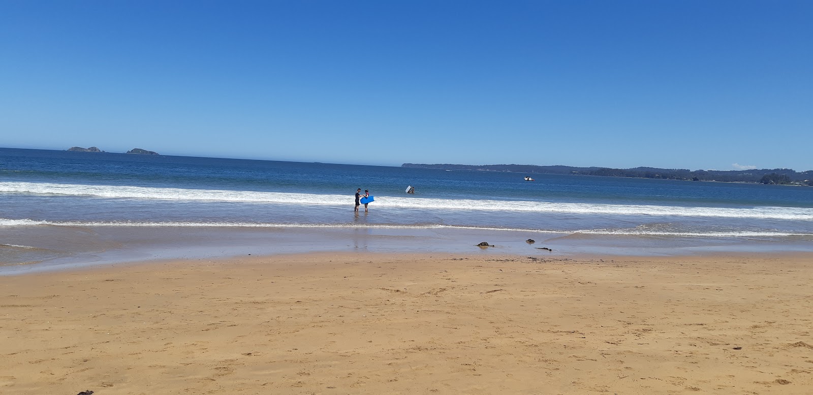 Long Beach photo #1