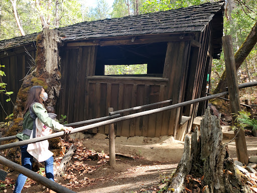Tourist Attraction «Oregon Vortex», reviews and photos, 4303 Sardine Creek L Fork Rd, Gold Hill, OR 97525, USA