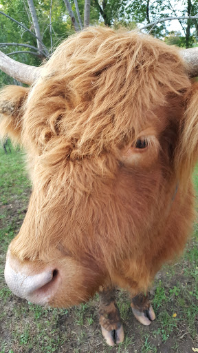 Golf Club «Big Stone Mini Golf», reviews and photos, 7110 County Rd 110 W, Minnetrista, MN 55364, USA