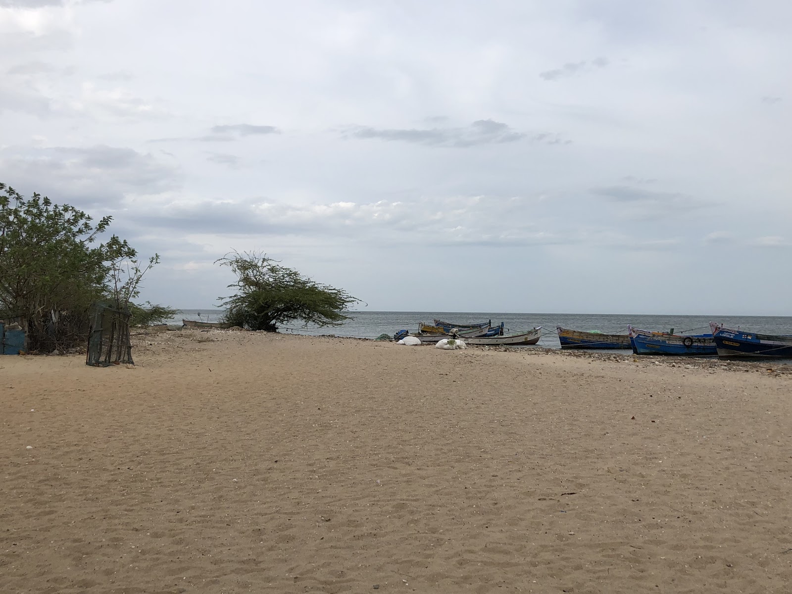 Foto de Tharuvai Kulam Beach com areia bege superfície