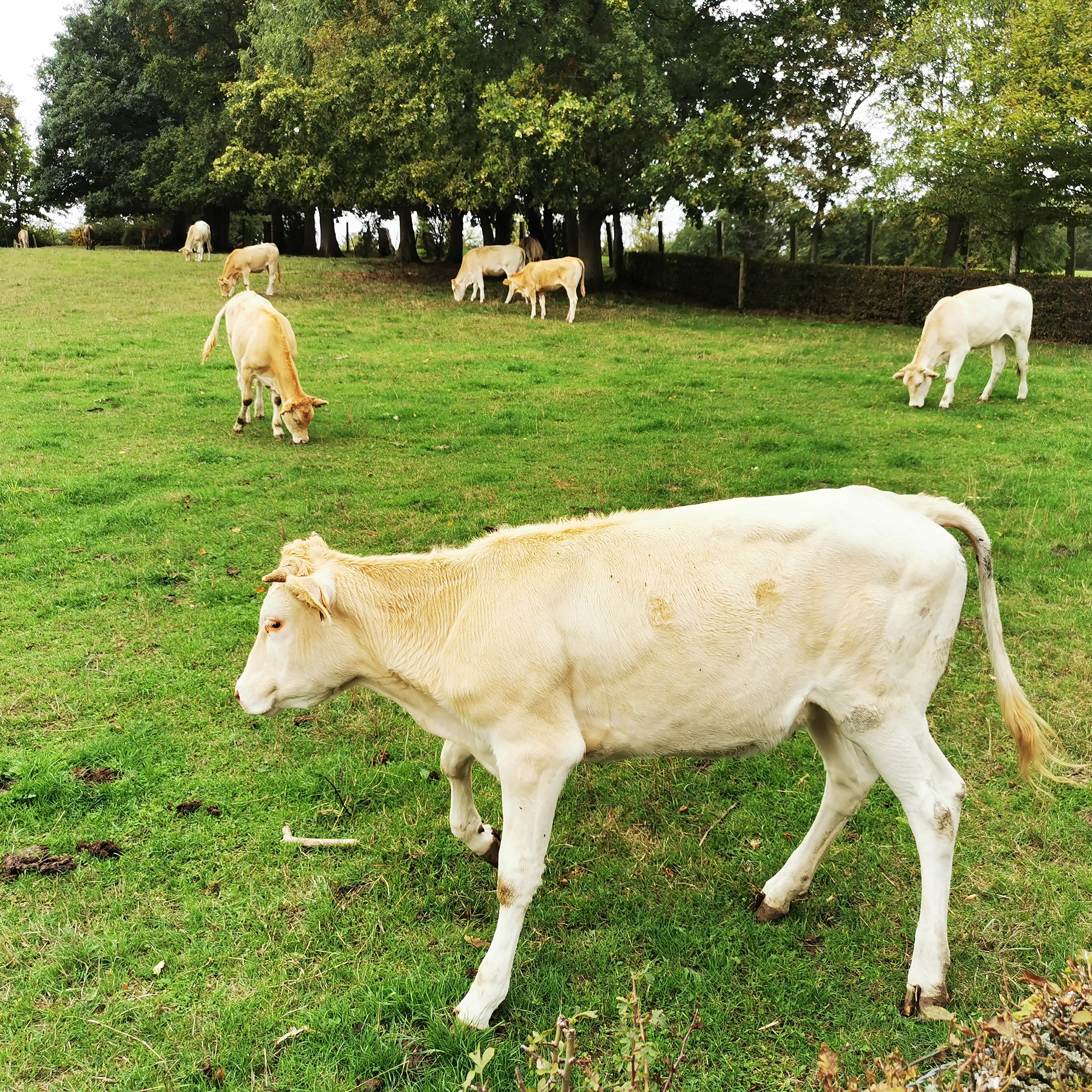 Photo n° 3 de l'avis de Adrien.a fait le 08/10/2022 à 10:31