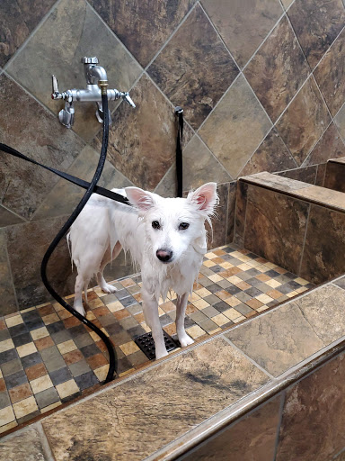 Pet Supply Store «Pet Valu», reviews and photos, 150 Main St, Lodi, NJ 07644, USA