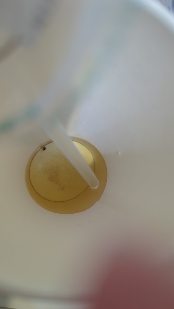 清心福全(岡山嘉興店) 的照片