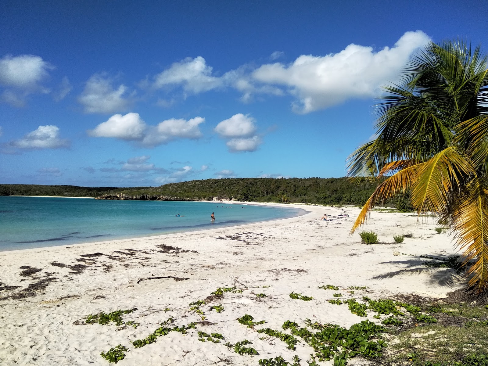 Fotografija Caracas beach z beli pesek površino