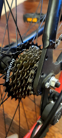 Felipe's Bike Shop 2