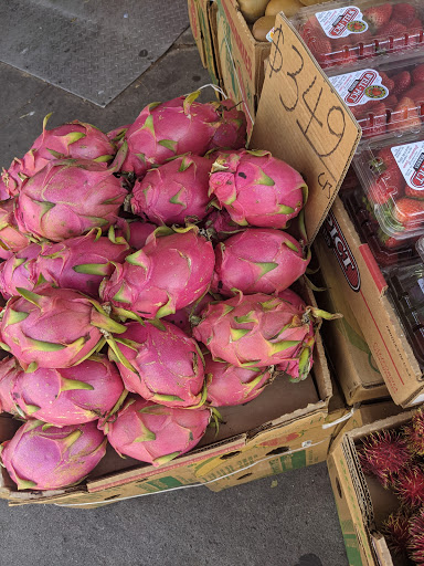 Grocery Store «Ace Market», reviews and photos, 6511 Bay Pkwy, Brooklyn, NY 11204, USA