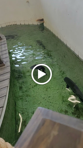 Pet Supply Store «PetKraze», reviews and photos, 100 Independent Way, Brewster, NY 10509, USA