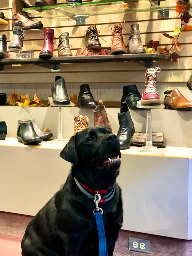 Shoe Store «Wagner Quality Shoes», reviews and photos, 4313 Butler St, Pittsburgh, PA 15201, USA