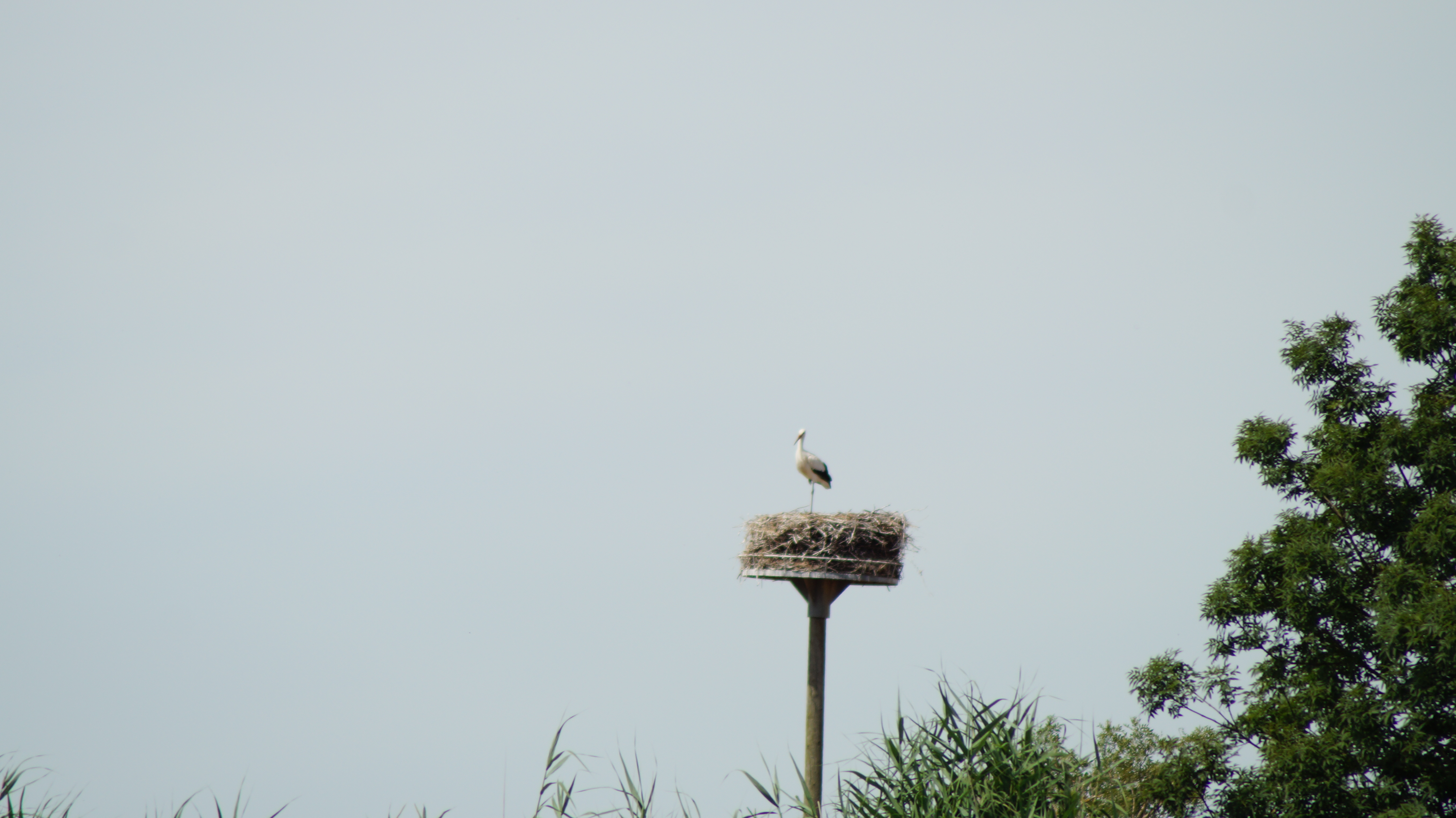 Photo n° 5 de l'avis de B.b fait le 11/07/2019 à 15:00