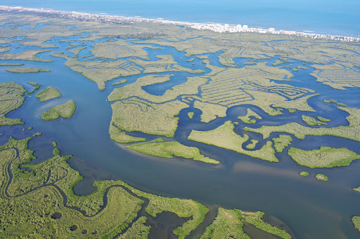 Nature Preserve «Canaveral National Seashore», reviews and photos, 212 S Washington Ave, Titusville, FL 32796, USA