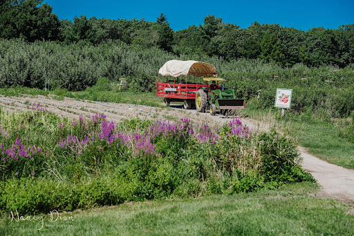 Farm «Smolak Farms», reviews and photos, 315 S Bradford St, North Andover, MA 01845, USA