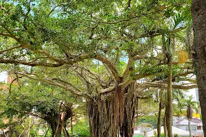 Midorigaoka Park image