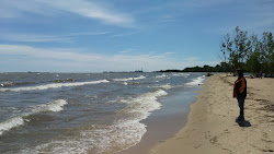 Bay City State Park Beach'in fotoğrafı ve yerleşim