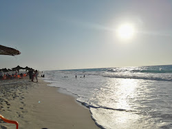 Marseille Beach'in fotoğrafı ve yerleşim