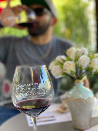 Winery «Stephen & Walker Winery», reviews and photos, 243 Healdsburg Ave, Healdsburg, CA 95448, USA