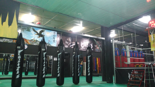 Art Fight Muay Thai Gym