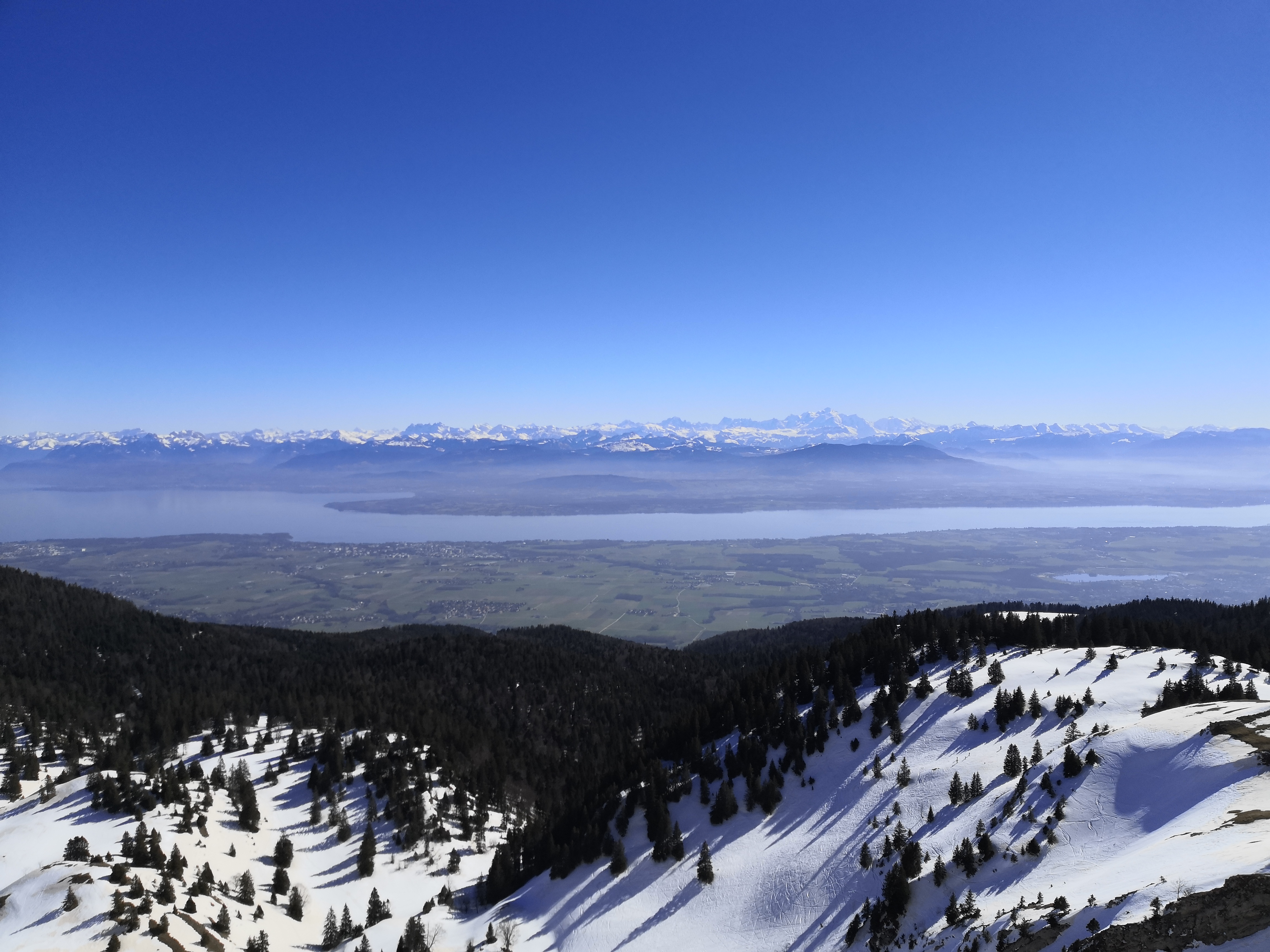 Photo n° 1 de l'avis de Thibault.� fait le 11/11/2021 à 11:31