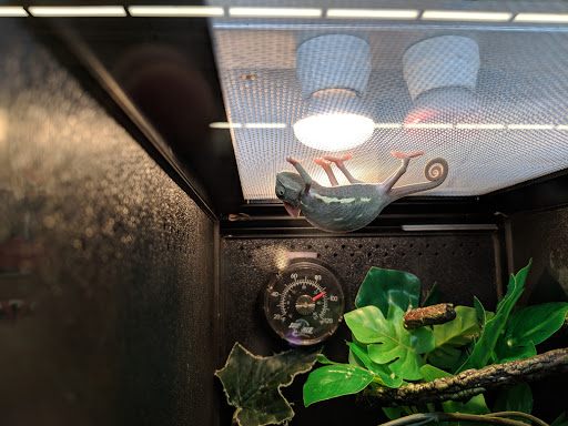 Pet Supply Store «PetSmart», reviews and photos, 1810 Cumming Hwy, Canton, GA 30114, USA