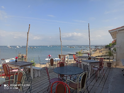 La Cabane Réveleau, degustation et huîtres à emporter - Le Canon à Lège-Cap-Ferret