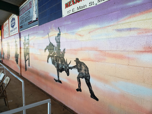 Rodeo «Molalla Buckeroo Association», reviews and photos, 815 Shirley St, Molalla, OR 97038, USA