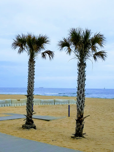 Chill outs on the beach in Virginia Beach