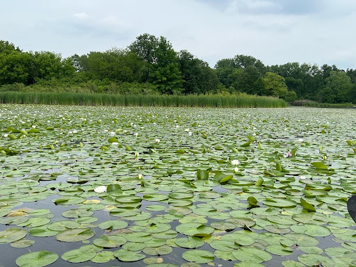 Nature Preserve «Oakhurst Forest Preserve», reviews and photos, 1680 5th Ave, Aurora, IL 60504, USA