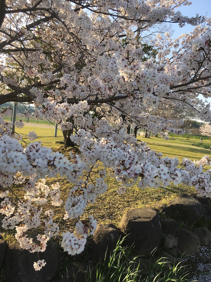 坪井川緑地公園