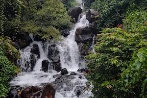 Anashi Falls image