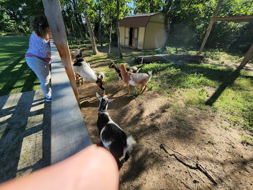 Tourist Attraction «Indiana Caverns», reviews and photos, 1267 Green Acres Dr SW, Corydon, IN 47112, USA