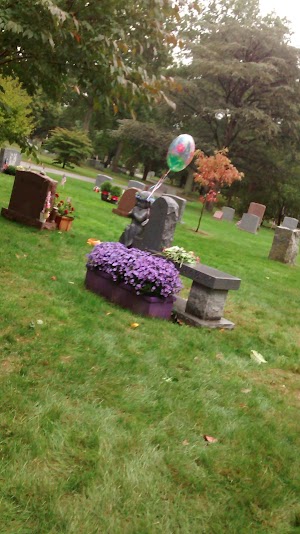 Swan Point Cemetery - photo 23