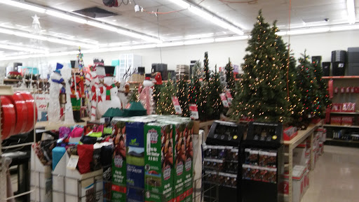 Discount Store «Big Lots», reviews and photos, 726 E Main St, Lebanon, OH 45036, USA