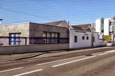 Clinique Vétérinaire de l'Elorn - Landerneau à Landerneau