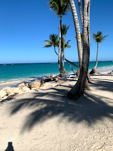 Travel Agency «Cosmos Travel Agency», reviews and photos, 7911 Narragansett Ave, Burbank, IL 60459, USA