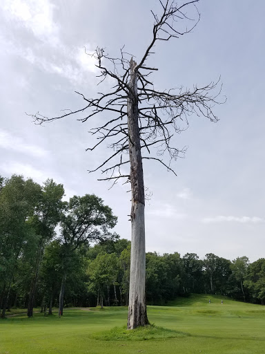 Golf Club «Pine Ridge Golf Club», reviews and photos, 34500 Hillcrest Rd, Motley, MN 56466, USA