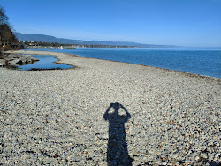 Foto di Plage de la Becassine - luogo popolare tra gli intenditori del relax