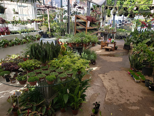 Esquina Verde - Floricultura e Garden Center, Paisagismo e Jardinagem