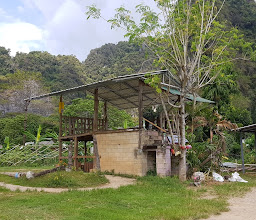 แคมป์ช้างเทพพนม / ThepPhanom Elephant Camp photo