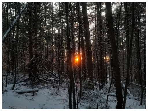 State Park «Wachusett Mountain State Reservation», reviews and photos, 345 Mountain Rd, Princeton, MA 01541, USA