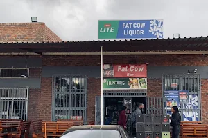 Fat cow image