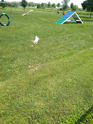 Dog Park «Carol Stream Bark Park», reviews and photos, 280 Kuhn Rd, Carol Stream, IL 60188, USA