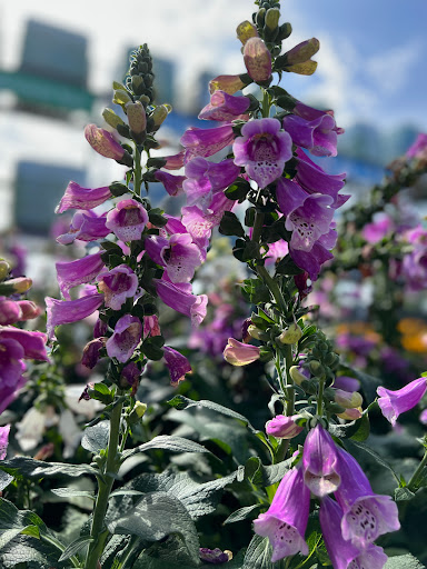 Home Improvement Store «The Home Depot», reviews and photos, 3849 S Delsea Dr, Vineland, NJ 08360, USA