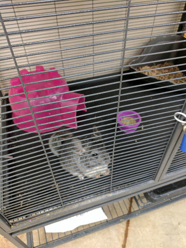 Pet Supply Store «Pet Supplies Plus», reviews and photos, 4250 N Alafaya Trail #240, Oviedo, FL 32765, USA