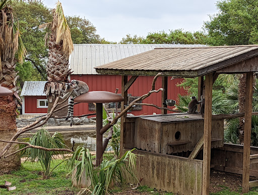 Zoo «Natural Bridge Wildlife Ranch», reviews and photos, 26515 Natural Bridge Caverns Rd, San Antonio, TX 78266, USA